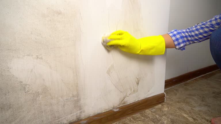 Mold Remediation for Rental Properties in Greenville, DE