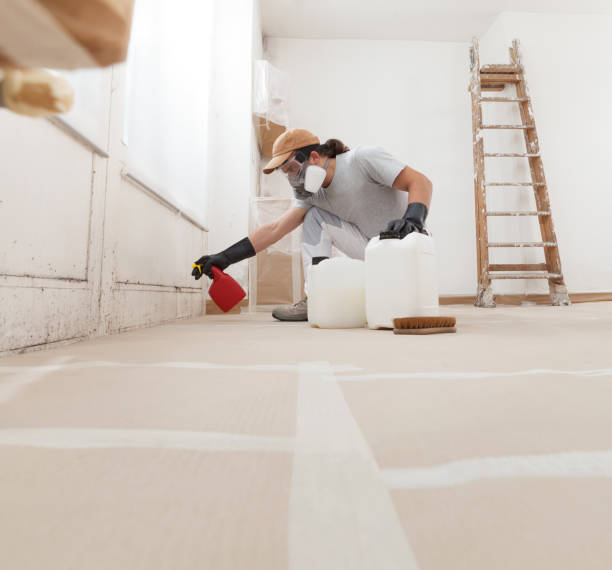 Greenville, DE Mold Inspection, Removal & Remediation Company